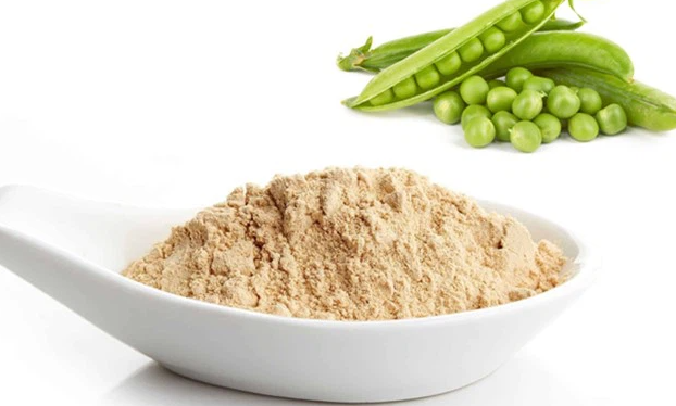 best pea based protein powder.png